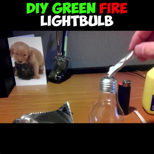 28K views · 413 reactions | DIY Lightbulb GREEN FLAME Lamp  | The Backyard Scientist | Facebook