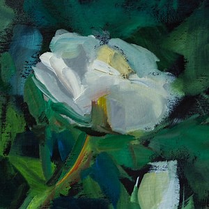 Dreams - Under The Blue: Song Lyrics, Music Videos & Concerts