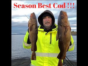 Biggest Cod of the season so far *Sesongens største torsk så langt