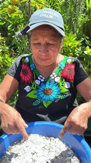 Como preparar un buen sustrato para plantas