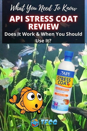 Title of your Article