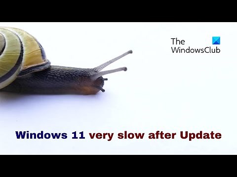Windows 11 very slow after Update