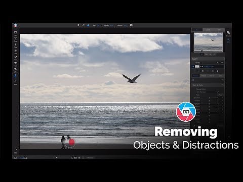 Removing Distractions & Objects from Photos