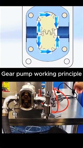 Gear Pump Working Principle Explained! ⚙️ #shortsyoutube