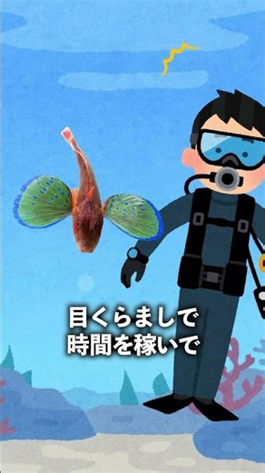 移動方法がキモすぎる魚【ホウボウ】