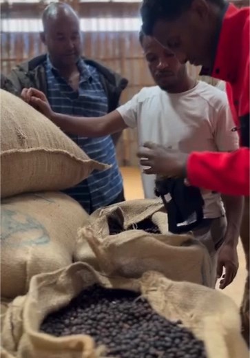 Quality Coffee Beans: Ethiopian Coffee Production Process