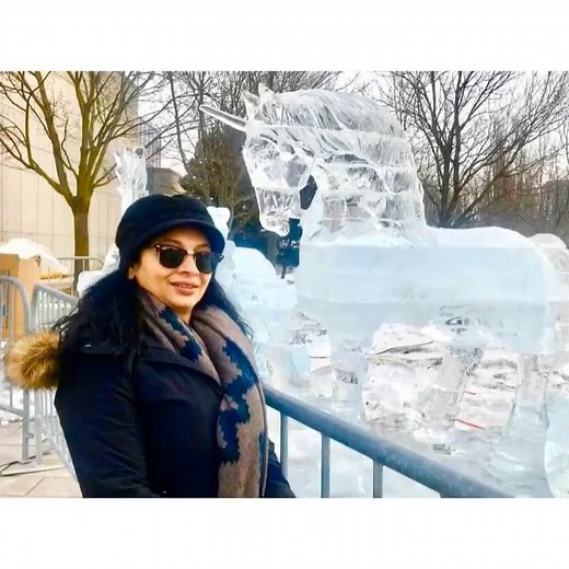 Frozen Wonders: An Ice & Snow Sculpture Extravaganza - Ice & Snow Sculpture show