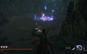 【只狼】无伤狮子猿巢穴的七面武士