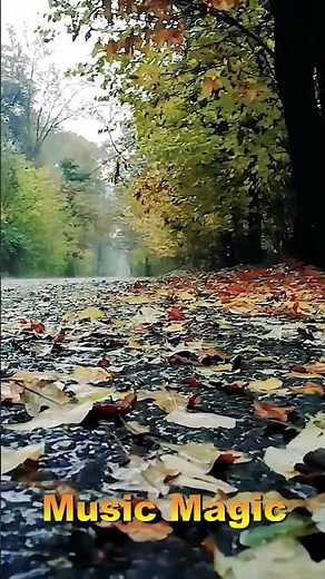 Relaxing sound of rain and birds singing in the forest. Light rain sounds for sleep and meditation.