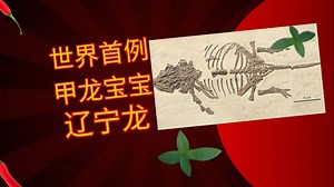 全球首例甲龙宝宝曝光！奇异辽宁龙身份彻底反转