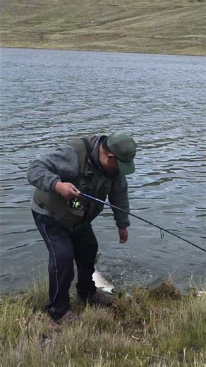 Pesca de Truchas : Tititkaka Fishisng
