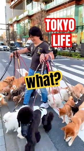 Am I inside a Disney movie right now, or is this real life? 🐶🎥🤯 #pov #doglovers