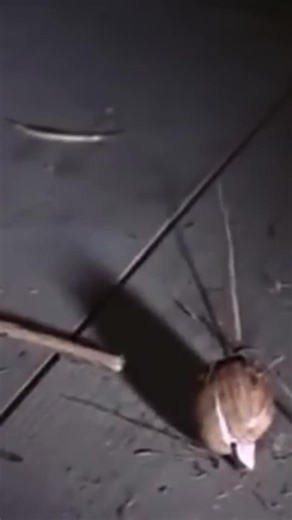 496K views · 10K reactions | Küss mich, halt mich, lieb mich..   Die besten Evergreen Songs jetzt auf unserer Oldies Playlist hören: https://open.spotify.com/playlist/2jfLfgN8emu054E6TiDh8o | Schlager für alle | Facebook