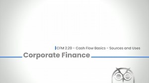 CFM 02.20 - Cash Flow Basics - Sources and Uses