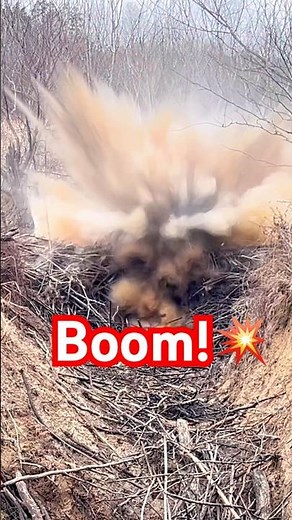 We Blew Up a Beaver Dam With Tannerite