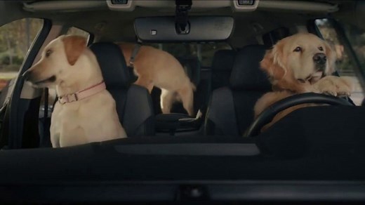 2022 Subaru Outback TV Spot, 'Dog Tested: No Pets Allowed' [T2]
