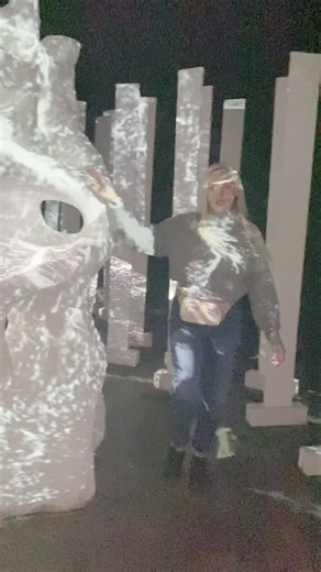 #zoominout #sigalacon