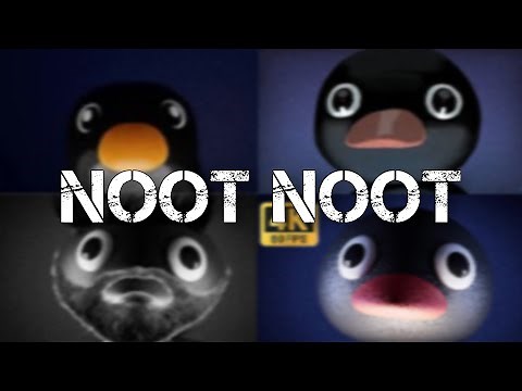 The Best Noot Noot Versions