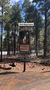 Williams, Arizona is such a fun road trip town 🚂 From outdoor adventures to classic Route 66 charm, there’s plenty to do here. Things to do: • Go snow tubing • Ride the Canyon Coaster 🎢 • Browse the shops along historic Route 66 • Visit Bearizona Wildlife Park • Stop by the quirky Poozeum • Take the train ride to the Grand Canyon 🚂 Stay: Trailborn Grand Canyon or Backland Eat: Miss Kitty’s, Obregon City Tacos & Pine Country Restaurant One of those Arizona towns that is great to visit in any s