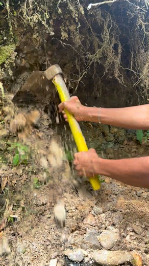 Wow😱😱 gold prospecting process | traditional gold extraction process | super material containing gold | $1500 gold nugget in bedrock crevice 😱‼️⛏️ amazing #puregold #goldmining #goldhunter #goldprocessing #goldextraction #goldminer #golddigging #goldhunting #goldmining #goldriver #goldhunter #goldrush #river #lookingforgold #goldprospecting #golddiscovery #newrecord #goldnugget #puregold | Genta