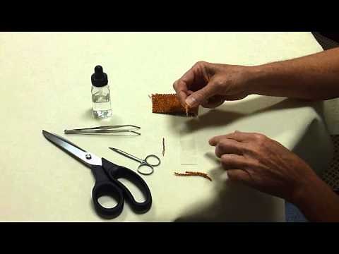 Fiber Identification 101: Preparing Slides