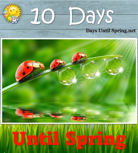 9.8K views · 420 reactions | The Countdown to Spring    https://daysuntilspring.net   . #Spring #Spring2025 #SpringCountdown #countdown #sunandfun #CountdowntoSpring | Spring Countdown | Facebook