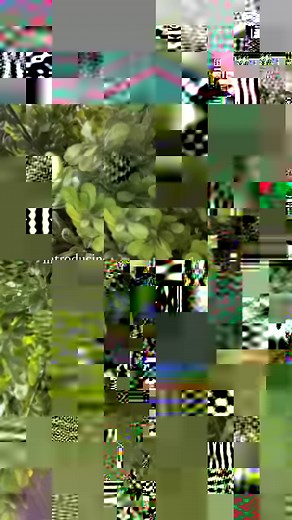 🍋 SAVE this post for your #summerdecor inspo ✨ today we are making a citrus tree 🍊🍋 in FIFTEEN MINUTES!You heard that right—only 15 minutes to transform this Christmas tree into something fresh zesty for the Summer season ~ 🤍 All of my lemon sprays/orange sprays are from craft outlet, and my FAVORITE twig sprays at the end are from @burlapandblingdecor ⚡️ (you can use WALDO10 for 10% off their whole site!). You’ll just need a lot of filler greenery to transform this tree into something ☀️ su