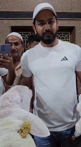 Heavyweight dumbe | World goat team