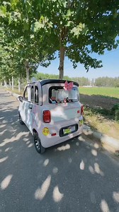 165K views · 4.8K reactions | Camping Car tour Video shorts #us #usa #camping #campinglife #campingvibes #camping2024 #campingweekend #campingtrip #campinggear #travelblogger #travel #campingvlogs #snow #snowboard #campinginsnow | Camping Video | Facebook