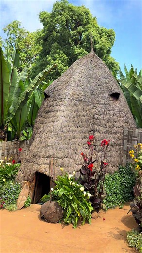 DID YOU KNOW OF THE DORZE VILLAGE IN SOUTHERN ETHIOPIA? Formerly, warriors, the Dorze tribe is known for its cotton weaving. Beehive huts. #tourstoethiopiawithadimasu #tourstoethiopiawithadimasu #visitdorzebodovillagewithadimasutours #AdimasuTours http://www.adimasu-tours.com