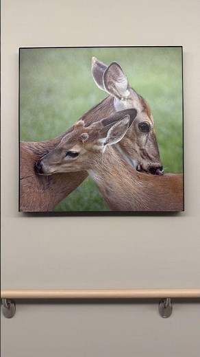Photographs from all 88 Ohio counties at new University Hospital | Ohio State Medical Center