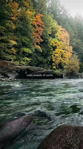 Calm sounds of earth #ihavethisthingwithplants #nature #natureaudio #waterfall #naturesounds #peace