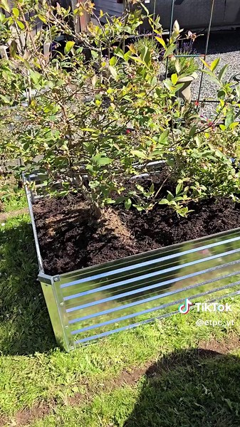 Retangular Galvanized Raised Garden bed planters HOW TO PROJECT #tiktok_collaboration #unboxing #CommissionsEarned #amazonreview AS AN AMAZON AFFILIATE, I GET COMMISSIONS FROM PURCHASES MADE FROM LINKS IN THE DESCRIPTION OF MY VIDEOS. PLEASE HELP SUPPORT MY CHANNEL BY USING MY LINK TO PURCHASE ITEMS FROM AMAZON :) THANKS! MY AFFILIATE LINK: http://amzn.to/2oxL7If HEY FRIENDS :) HERE IS THE LATEST! Get this here from AMAZON: https://amzn.to/4bwfbJL Find the Latest planter boxes here Here from AMA