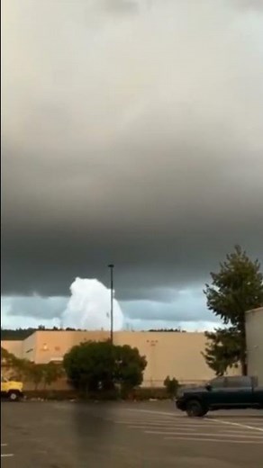 Real Giants caught on camera