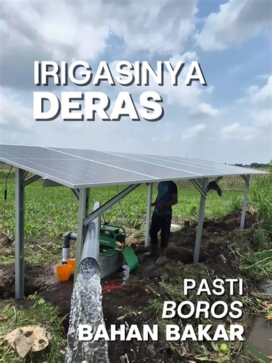 Irigasi deres, pasti bahan bakar boros ya? Eits kata siapa? Justru kalau pakai AgrosolPump, irigasi deres kayak gini malah engga boros! Karena menggunakan tenaga surya, kamu gausah pusing-pusing lagi ngeluarin duit buat bahan bakar! Tertarik? 📥 DM @agrosglobal.id atau hubungi nomor 0823 2325 2205 #PompaSemangatmu #NolBahanBakar #fyppppppppppppppppppppppp #sustainablefarming #pompaairtenagasurya
