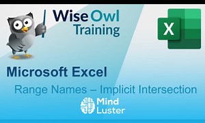 Mind Luster - Learn Excel Range Names Implicit Intersection