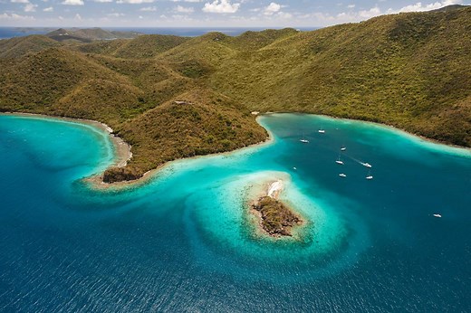 Every Animal in Virgin Islands National Park