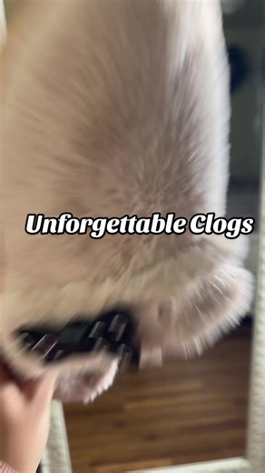 And yes I wear these in public somethimes too 😍😏🫣🥰the crocs unforgettable clogs are the comfiest and cutest shoe that you need 🎉 @Crocs @CROCS US SHOP #tiktokshopblackfriday #tiktokshopholidayhaul #superbranddayBFCM #tiktokshopcybermonday #fashionfinds