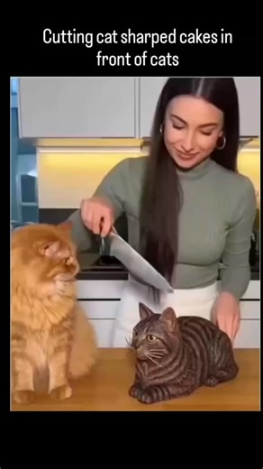 roboworks🤖 on Instagram: "The post features a 10-second AI-generated video depicting a woman slicing a hyper-realistic cat-shaped cake, triggering a nearby orange tabby to leap onto her back in apparent defense, causing cake debris and partner intervention for comedic chaos. - Posted December 2, 2025, by @robotic.io account focused on motivational and viral content—it amassed 5.7 million views and 19k likes within 24 hours, riding a late-October trend of fabricated pet reactions that blend empa