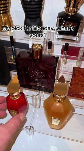 Xerjoff Wardasina Luxury Perfume Review
