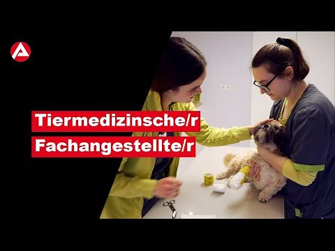 Tiermedizinische/r Fachangestellte/r