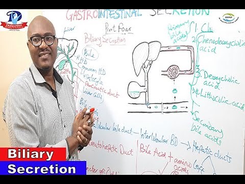 Gastrointestinal Secretion - 4 (Biliary Secretion)
