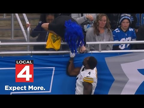 Pittsburgh Steelers WR DK Metcalf suspended 2 games for physical altercation with Lions fan
