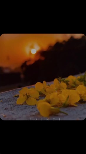 Bichre To Jeena Payenge: A Heartfelt Journey