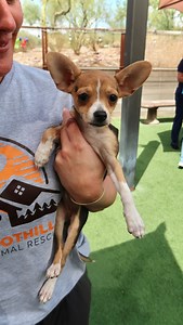 1.8K views · 133 reactions | Meet the sweetest family in town! Sky...