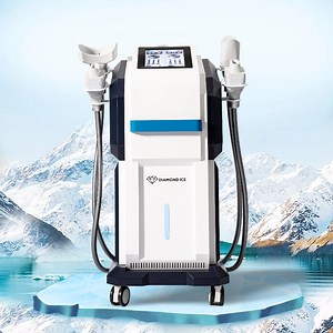 Cryotherapy Machines for Sale | Cryolipolysis Fat Freezing Treatment for Weight Loss