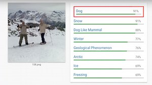MIT Students Fool Google Image-Recognition Tech