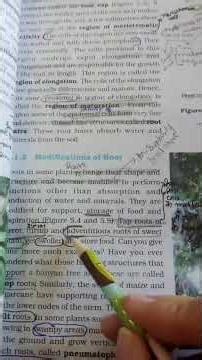 Modification of Leaf||Class 11 biology| #new #neet