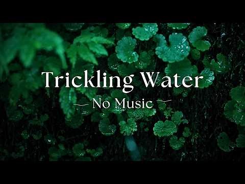 – NO MUSIC – 10 Hours of Pure Trickling Water Sounds