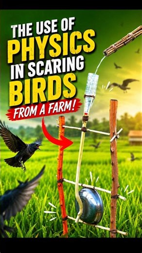 The use of physics in scaring birds from a farm! By VMC JEE